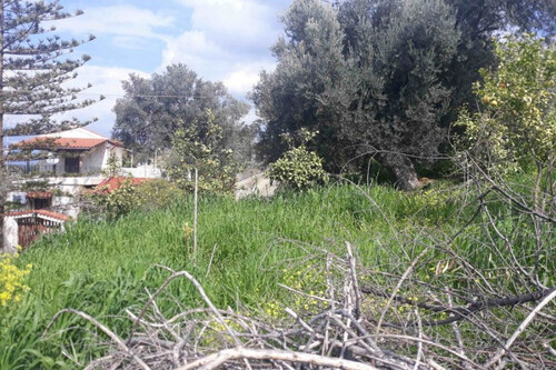 Foto - Grundstück in zum Kaufen