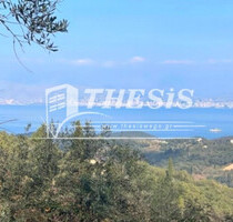 Grundstück Land Kaufen, , Korfu-Stadt (Korfu Präfektur),