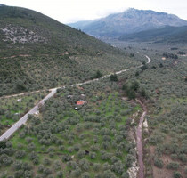 Grundstück Land Kaufen, , Thasos (Kavala Präfektur),