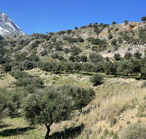 Grundstück Land Kaufen, , Gazi (Heraklion Präfektur),