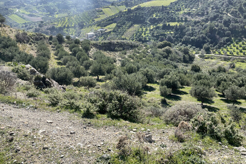 Foto - Grundstück in 