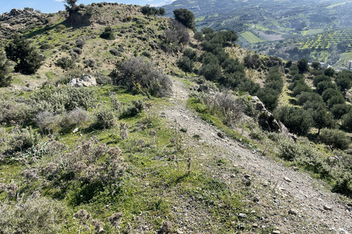 Foto - Grundstück in zum Kaufen