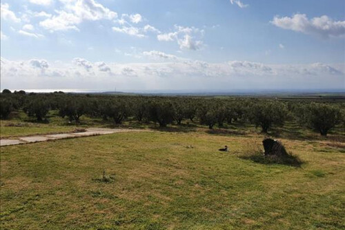 Foto - 10 Zimmer Einfamilienhaus zum Kaufen in 