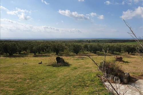 Foto - 10 Zimmer Einfamilienhaus in 