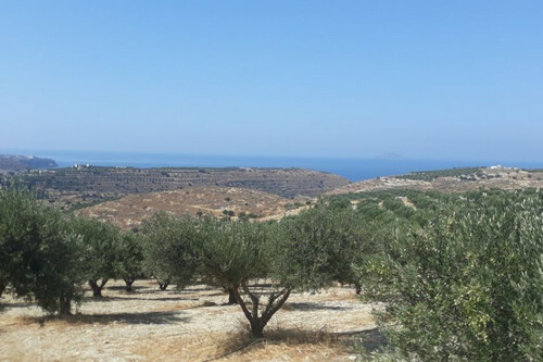 Foto - Grundstück in 