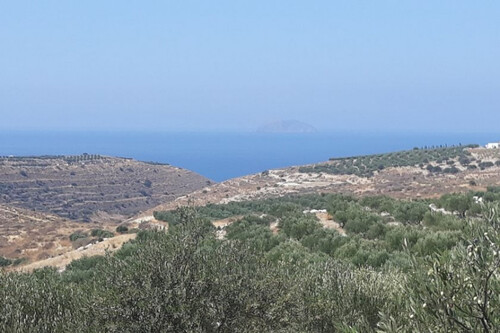 Foto - Grundstück in zum Kaufen