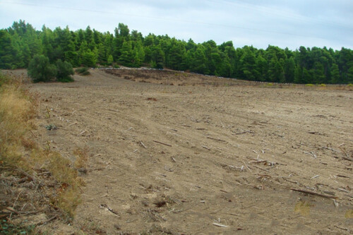 Foto - Grundstück Land Kaufen, , Kassandra (Chalkidiki),