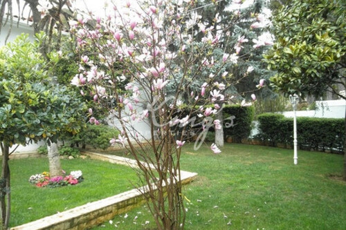 Foto - 8 Zimmer Einfamilienhaus zum Kaufen in 