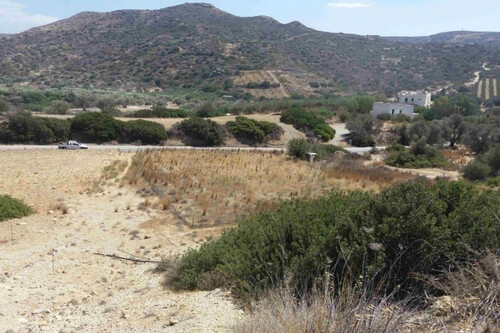 Foto - Grundstück Land Kaufen, , Moires (Heraklion Präfektur),