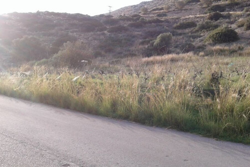 Foto - Grundstück in zum Kaufen