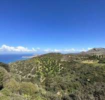 Grundstück Land Kaufen, , Siteia (Lasithi Präfektur),