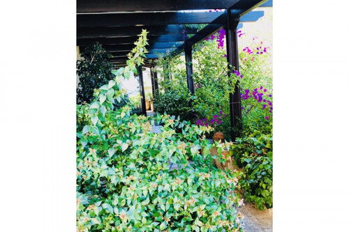 Foto - Einfamilienhaus in zum Kaufen