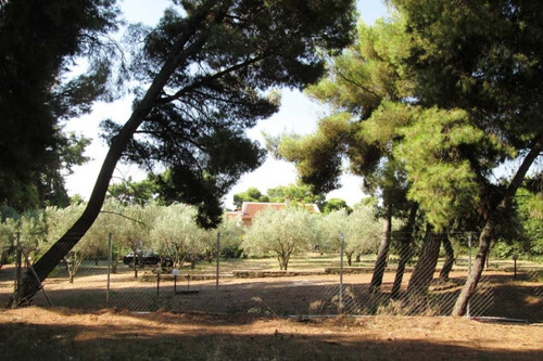 Foto - 12 Zimmer Einfamilienhaus zum Kaufen in 