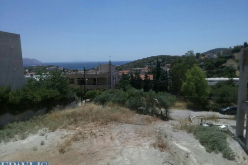 Foto - Grundstück Land Kaufen, , Anavyssos (Attika - Restliche Gemeinden),