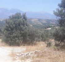 Grundstück Land Kaufen, , Moires (Heraklion Präfektur),