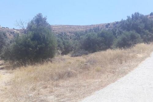 Foto - Grundstück in 