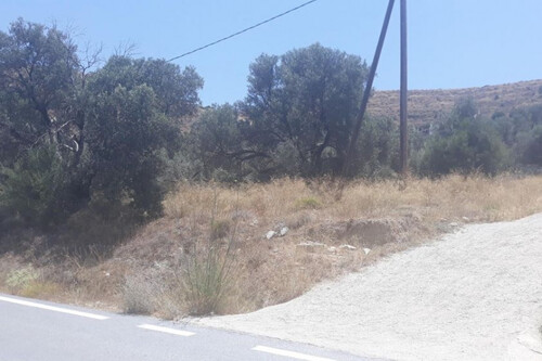 Foto - Grundstück in zum Kaufen