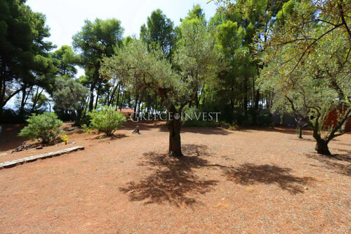 Foto - 8 Zimmer Einfamilienhaus zum Kaufen in 