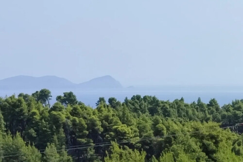 Foto - 12 Zimmer Einfamilienhaus zum Kaufen in 