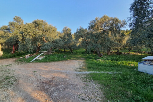 Foto - Grundstück Land Kaufen, , Thasos (Kavala Präfektur),