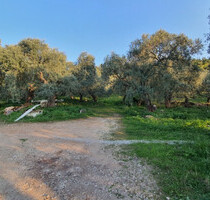 Grundstück Land Kaufen, , Thasos (Kavala Präfektur),