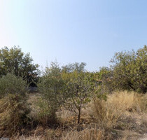 Grundstück Land Kaufen, , Kalyvia Thorikou (Attika - Restliche Gemeinden),