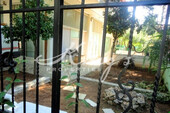 Foto - Gewerbe-Immobilie Kaufen, , Kifisia (Athen Nord),