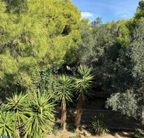 Grundstück Land Kaufen, , Saronida (Attika - Restliche Gemeinden),