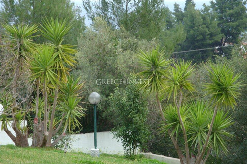 Foto - Haus Kaufen, , Kassandra (Chalkidiki),