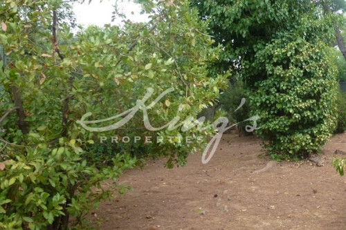 Foto - Grundstück Land Kaufen, , Metamorfosi (Athen West),