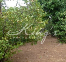 Grundstück Land Kaufen, , Metamorfosi (Athen West),