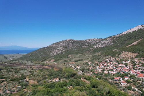 Foto - Grundstück Land Kaufen, , Thasos (Kavala Präfektur),
