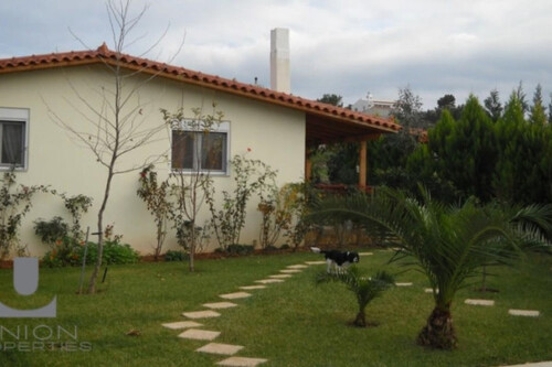 Foto - 10 Zimmer Einfamilienhaus zum Kaufen in 