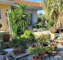 Haus Kaufen, , Rhodos (Dodekanes),
