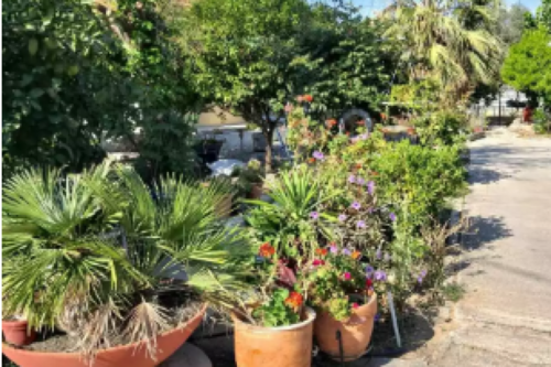 Foto - Einfamilienhaus in zum Kaufen