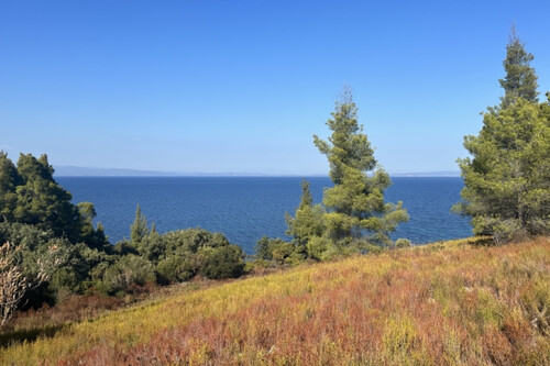 Foto - Grundstück Land Kaufen, , Sithonia (Chalkidiki),