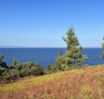 Grundstück Land Kaufen, , Sithonia (Chalkidiki),