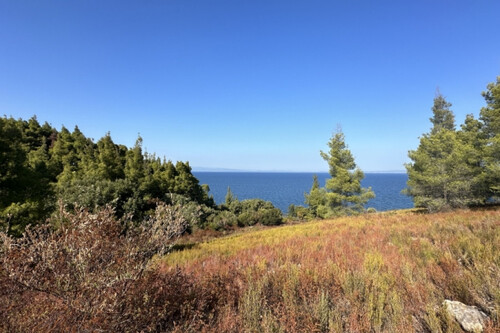 Foto - Grundstück zum Kaufen in 