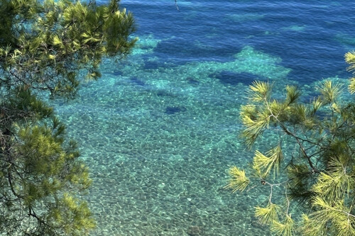 Foto - Grundstück in zum Kaufen