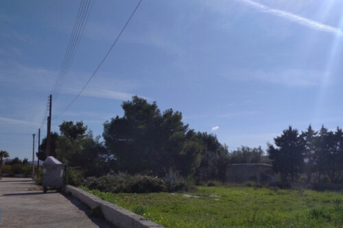 Foto - Grundstück zum Kaufen in 