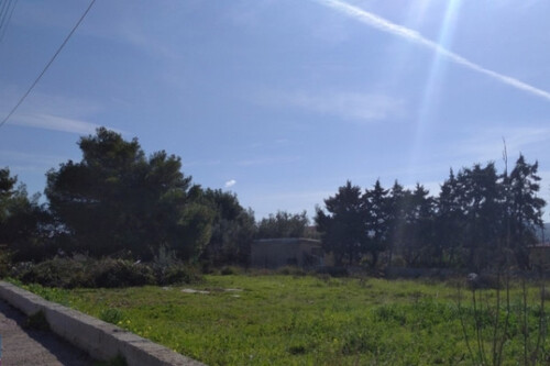 Foto - Grundstück in 