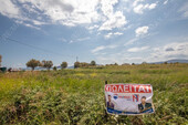 Foto - Grundstück Land Kaufen, , Almyros (Magnisia),