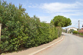 Foto - 