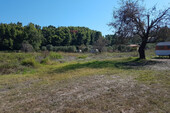 Foto - Grundstück Land Kaufen, , Pallini (Chalkidiki),