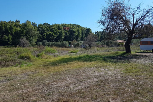 Foto - Grundstück Land Kaufen, , Pallini (Chalkidiki),