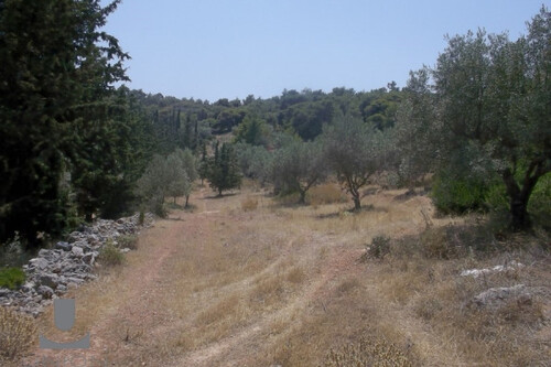 Foto - Grundstück Land Kaufen, , Koropi (Athen Ost),