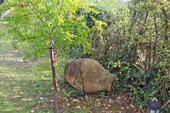 Foto - 
