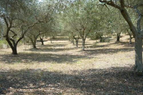 Foto - Einfamilienhaus in zum Kaufen
