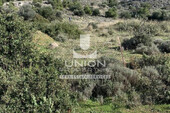 Foto - Grundstück Land Kaufen, , Vari- Varkiza (Athen Süd),