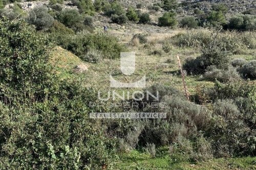 Foto - Grundstück Land Kaufen, , Vari- Varkiza (Athen Süd),